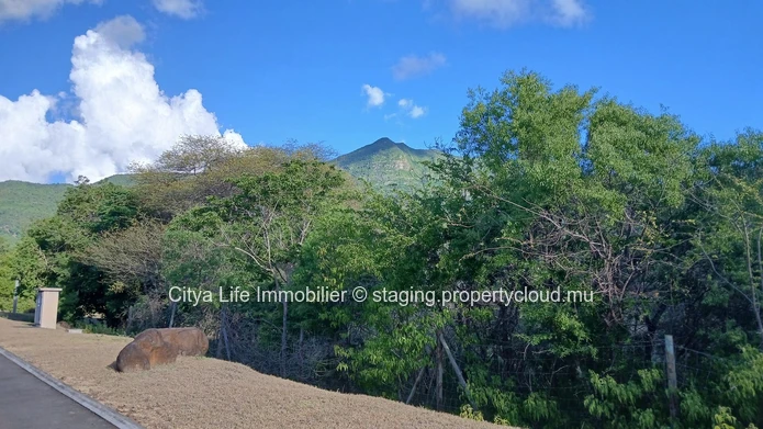Prime Land in Tamarin Area with Mountain Views - Build Your Dream Home 