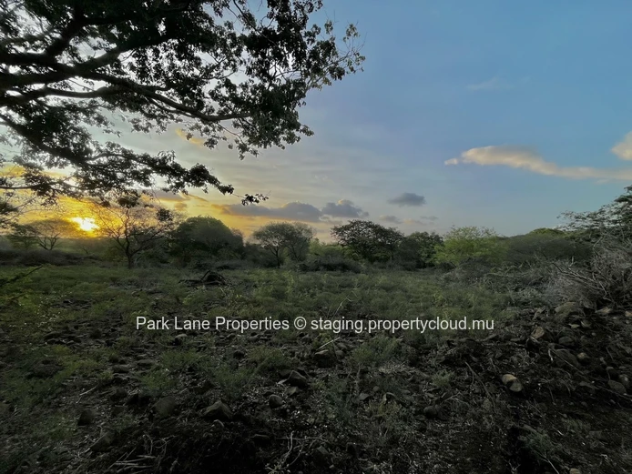 For Sale – 1,480 m² Plot Including 148 m² Green Buffer Adjacent to Domaine de Palmyre, Rivière Noire