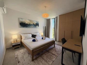 3 Bedroom Apartment