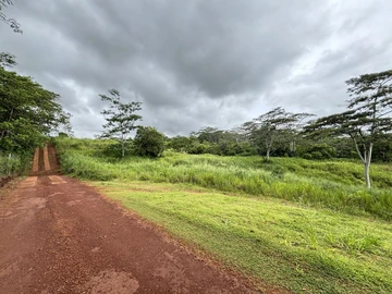 Agricultural Land