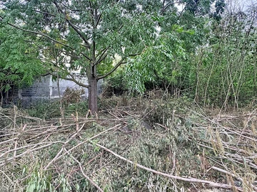 Terrain
