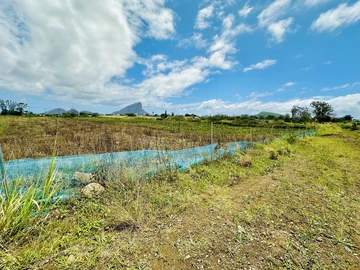 Agricultural Land