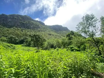 Agricultural Land