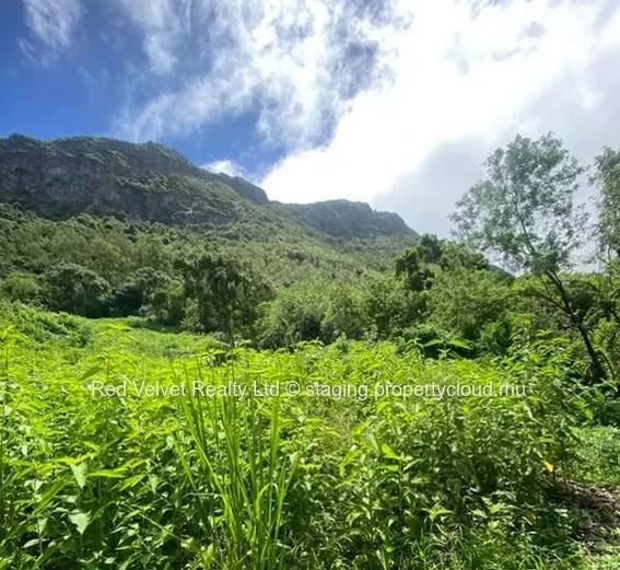 Terrain à vendre à Montagne Ory, Moka, Île Maurice!