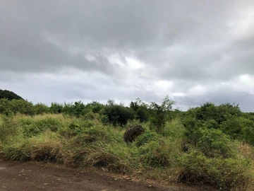 Agricultural Land