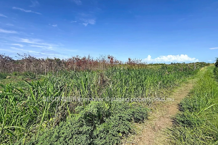 Residential Land for Sale – Grand Gaube