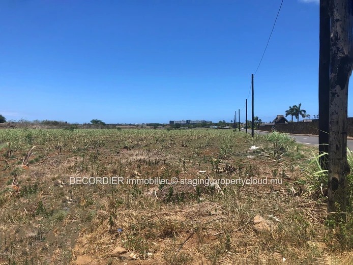 Magnificent land for real estate development / investor