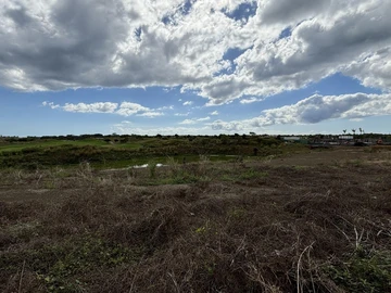 Residential Land