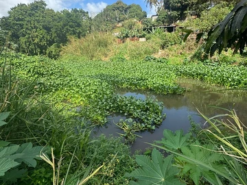 Commercial Land