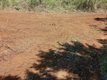 Agricultural Land