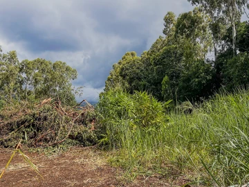 Residential Land