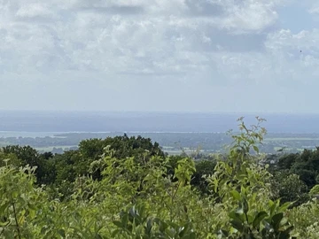 Terrain Agricole