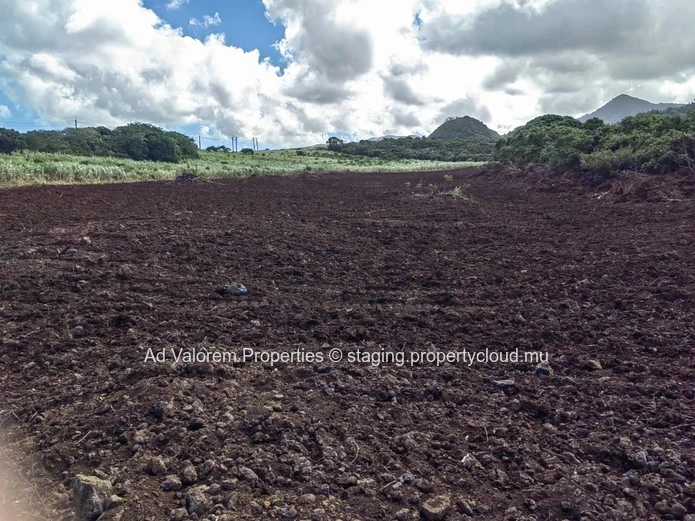 Grand Terrain Agricole à Vendre – Martinière, Surinam – Vue Panoramique & Cadre Naturel