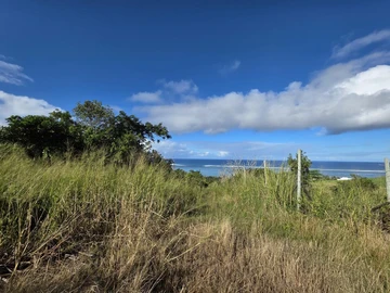 Agricultural Land