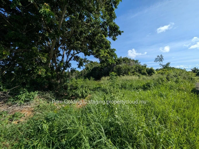 Calodyne – Terrain à vendre – Pam Golding Mauritius (Mandat exclusif)