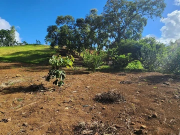 Terrain Résidentiel