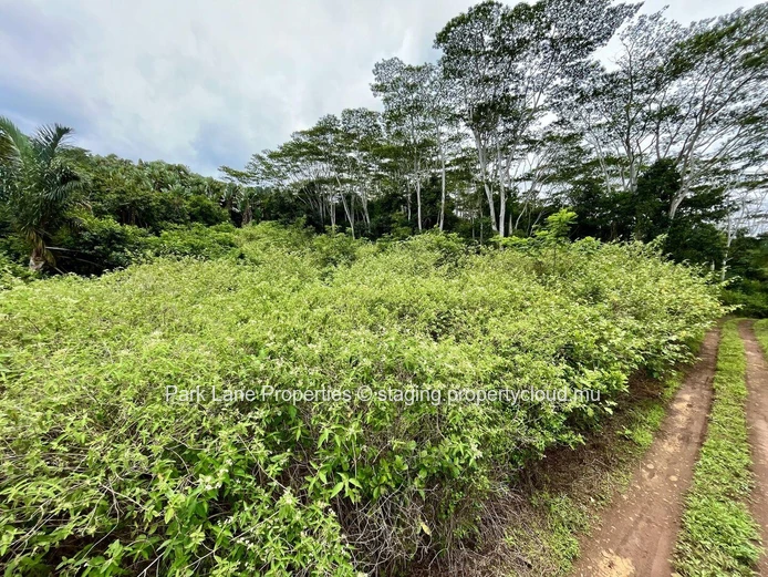 Chamarel - Paix, espace et beauté naturelle tout autour