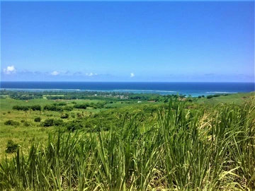 Agricultural Land