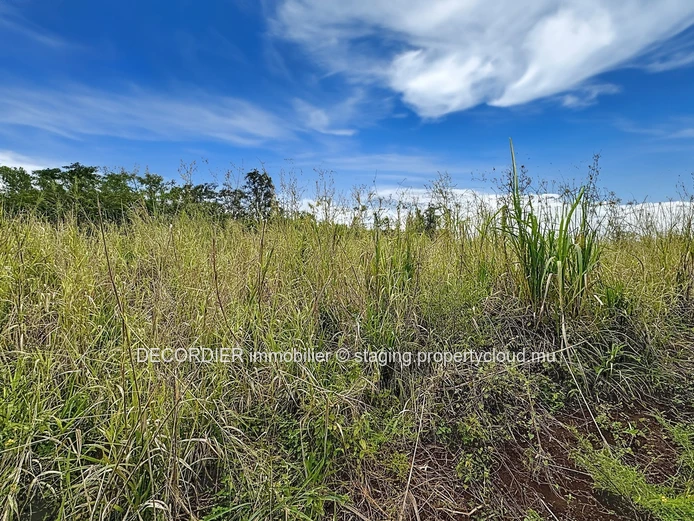 Opportunité à saisir à Pamplemousses – Terrain de 4221 m²