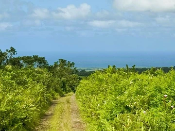 Terrain Agricole