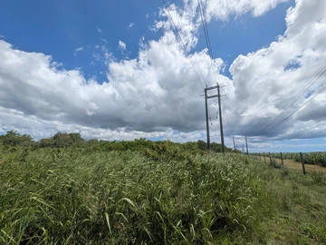 Agricultural Land