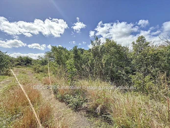 Land for sale – Pereybere