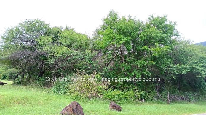 Plot of Land for Sale – 2,785m² in Domaine de Palmyre