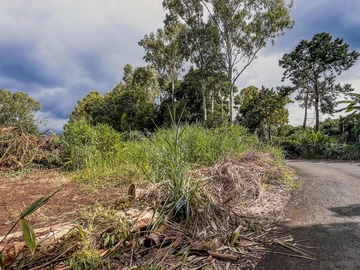 Residential Land