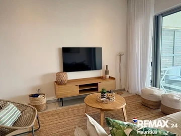 3 Bedroom Penthouse