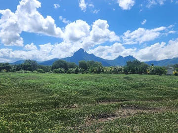 Residential Land