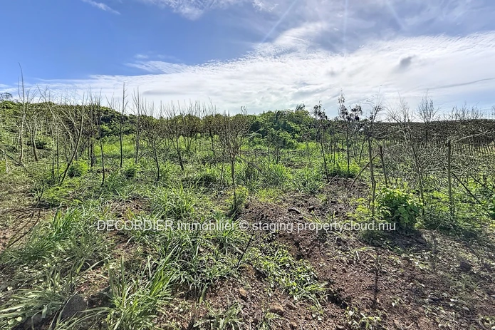 Residential Land for Sale – Grand Gaube