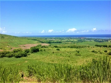 Agricultural Land