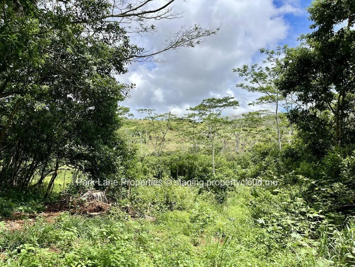 Terrain agricole à Chamarel