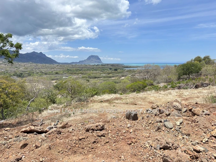 Land for Sale Black River Palmyre