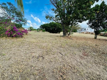 Residential Land