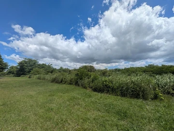 Agricultural Land
