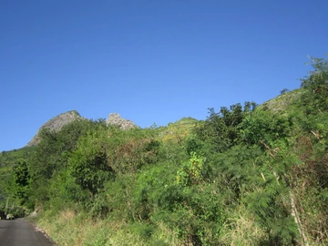 Terrain