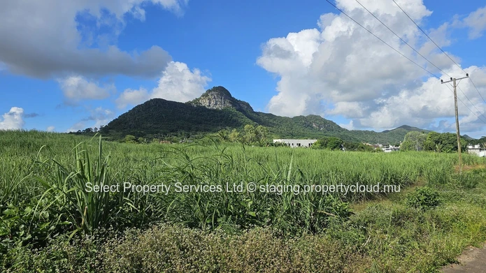 Agricultural Land for Sale - Morcellement - Montagne Blanche