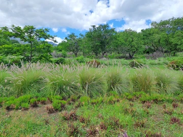 Residential Land