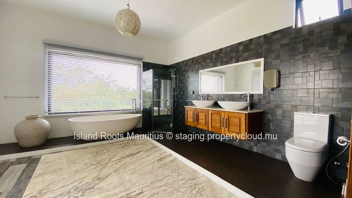Luxury villa for rent on Calodyne!