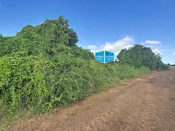 Land