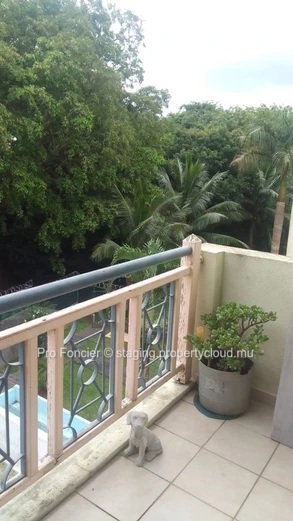 Appartement à Trianon  à vendre - Atmosphère Zen