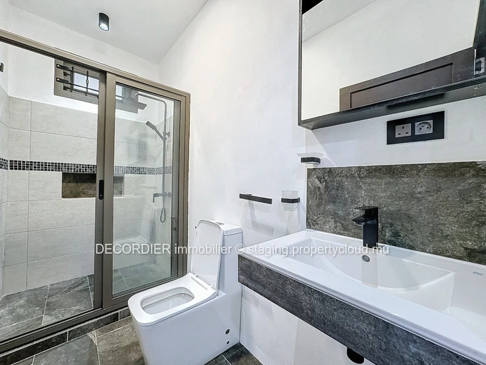 Large detached house with swimming pool