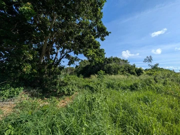 Terrain Résidentiel
