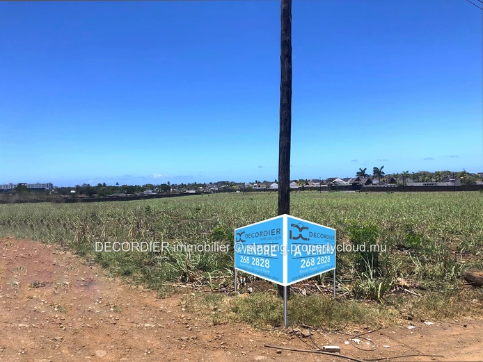 Magnificent land for real estate development / investor