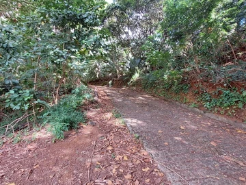 Agricultural Land