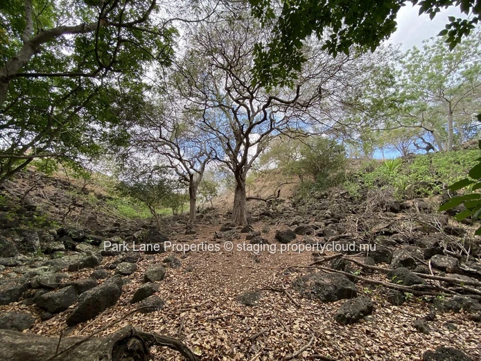 Parcelle paisible dans un domaine privé à Tamarin avec rivière et vue sur les montagnes