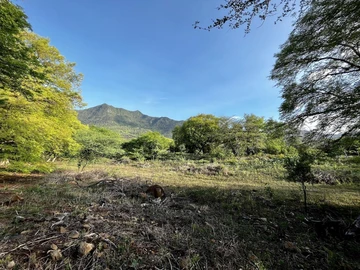 Residential Land