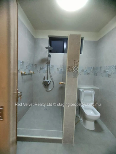 Elegant 4-Bedroom House for Rent in Ébène 