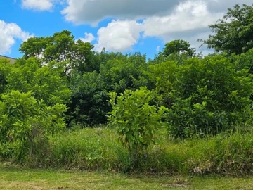 Residential Land